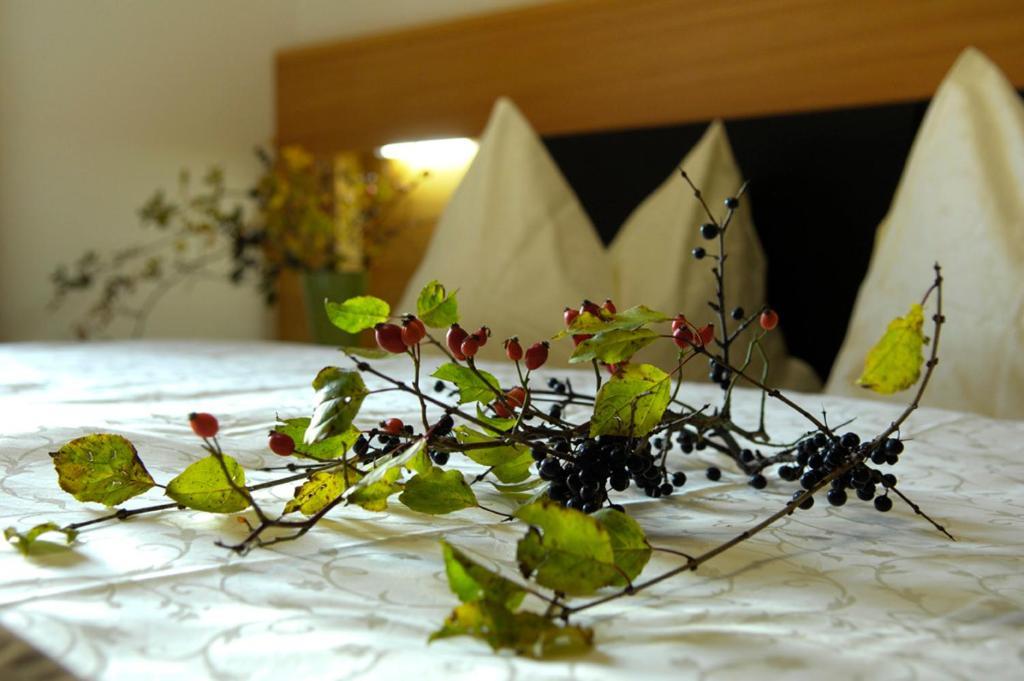 Villa Tilia Siusi Szoba fotó